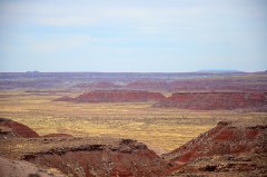 Painted Desert 2  053