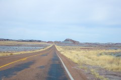 Petrified Forest  029