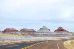Petrified Forest  032