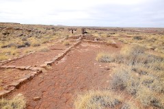Petrified Forest  037