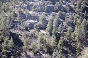 Rooms in Walnut Canyon  002