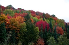 Upper Pen trip 30 Sep   010