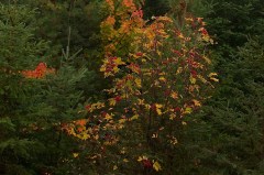 Upper Pen trip 30 Sep   013