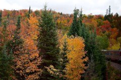 Upper Pen trip 30 Sep   020