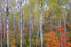 Upper Pen trip 30 Sep   023