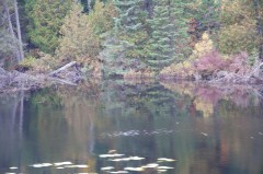 Upper Pen trip 30 Sep   025