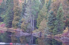 Upper Pen trip 30 Sep   026