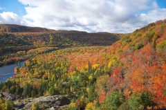 On the train to Agawa Canyon in Algowa Country.