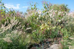 Upper Pen trip 7 Oct  016