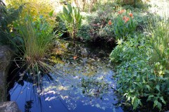 Upper Pen trip 7 Oct  017