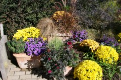 Upper Pen trip 7 Oct  018