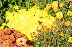 Upper Pen trip 7 Oct  028