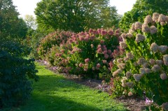 Upper Pen trip 9 Oct  005