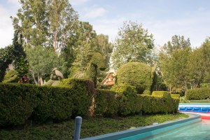 Disneyland DCA 2015-6553