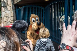 Disneyland DCA 2015-6572