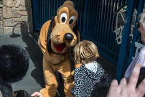 Disneyland DCA 2015-6578