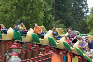 Disneyland DCA 2015-6635