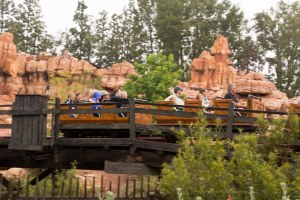 Disneyland DCA 2015-6787