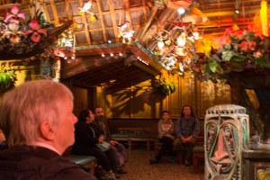 Disneyland DCA 2015-6812