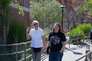 Disneyland DCA 2015-6891