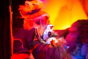 Disneyland DCA 2015-6921