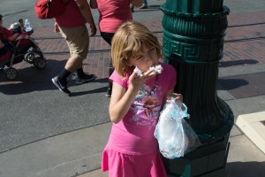 Disneyland DCA 2015-7057