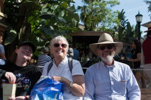 Disneyland DCA 2015-7069