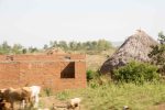 Brick houses arising alongside the straw and grass structures