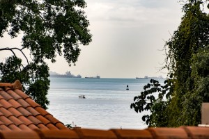 2018-11-12 06.23.47-0623.111218