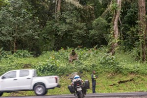 2018-11-14 08.52.29-0852.111418