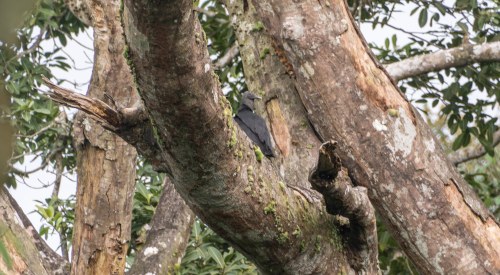 2018-11-16 12.28.37-1228.111618.jpg