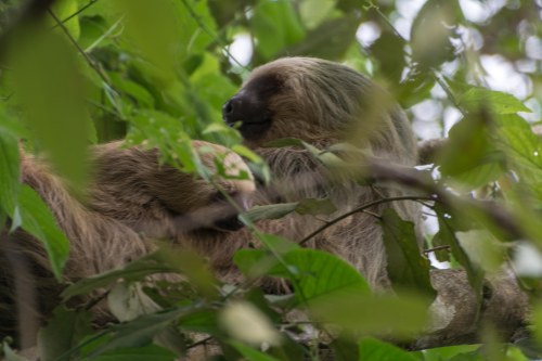 2018-11-16 13.02.40-1302.111618